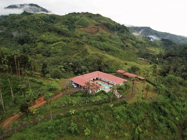 Hardwood forest on the estate