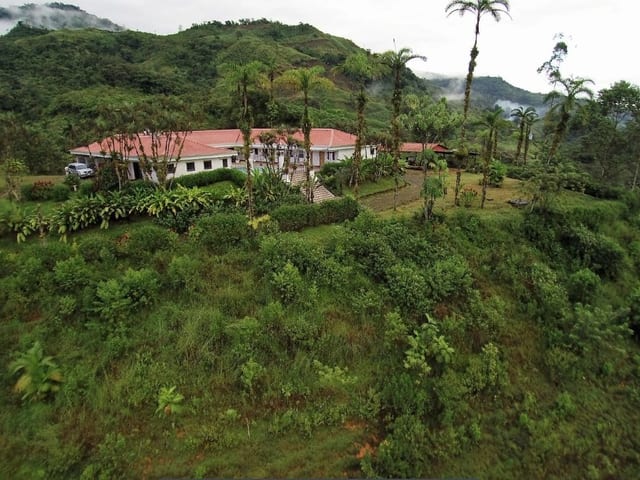 Aerial view of the full estate