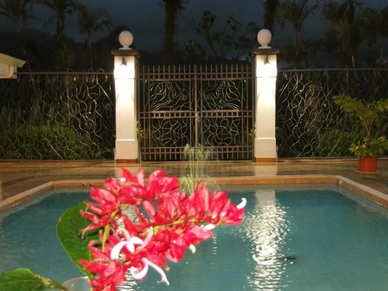 Artisan-sculpted details in the courtyard interior