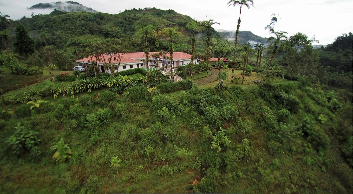Estate aerial